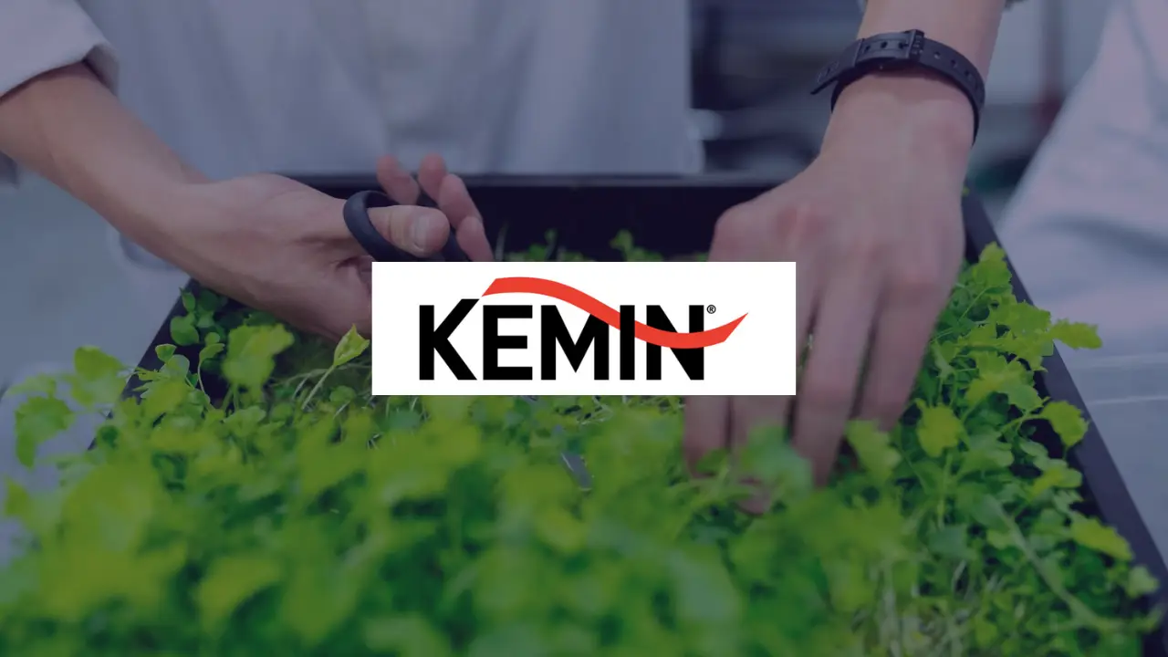 Kemin Banner Case